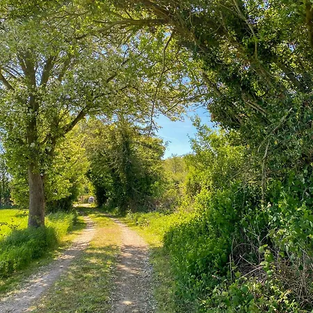 Vakantiehuis Thatched From 1877 On Langeland Nordenbro Vesteregn