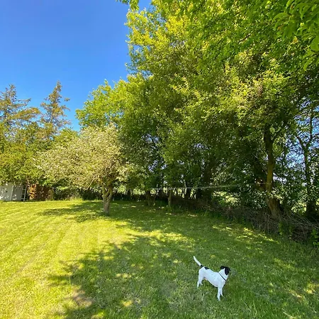 Vakantiehuis Thatched From 1877 On Langeland Nordenbro Vesteregn